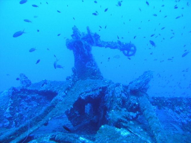  Il relitto della Louise 